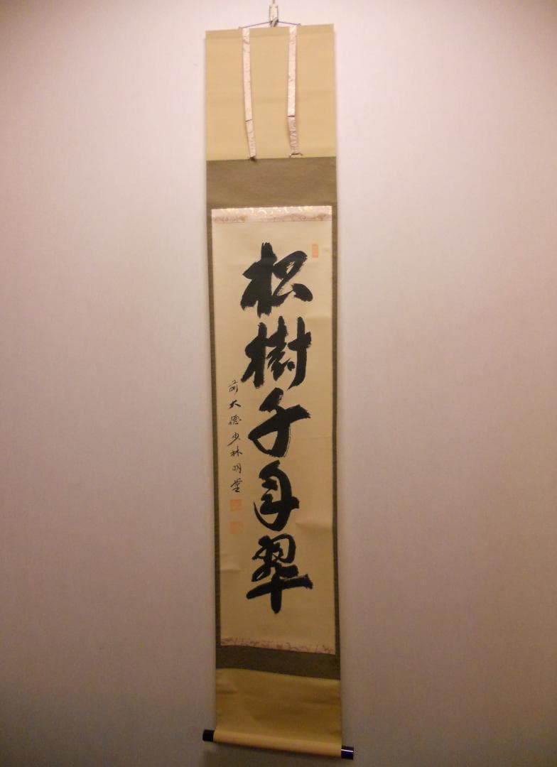 掛け軸 少林寺 横井明堂 筆「 松寿千年翠 」 紙本 茶掛 掛軸 美品