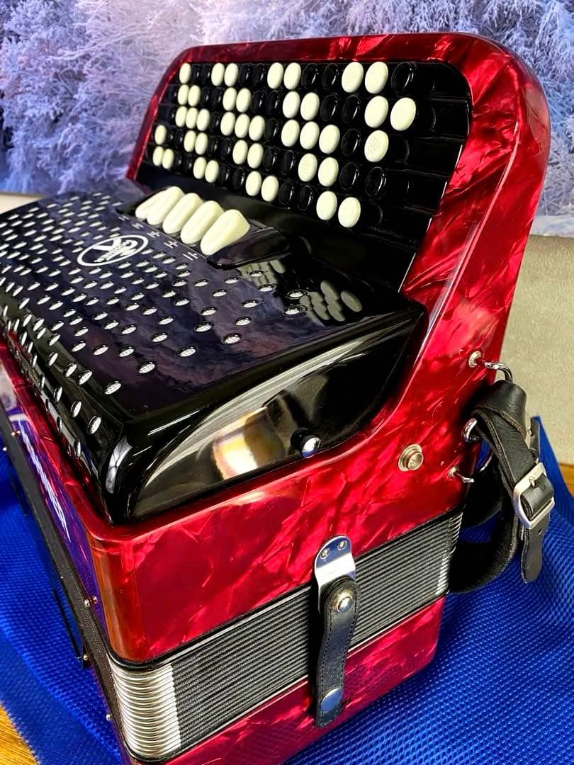 Hohner nova III 96 アコーディオンクロマチック新品現行販売C調