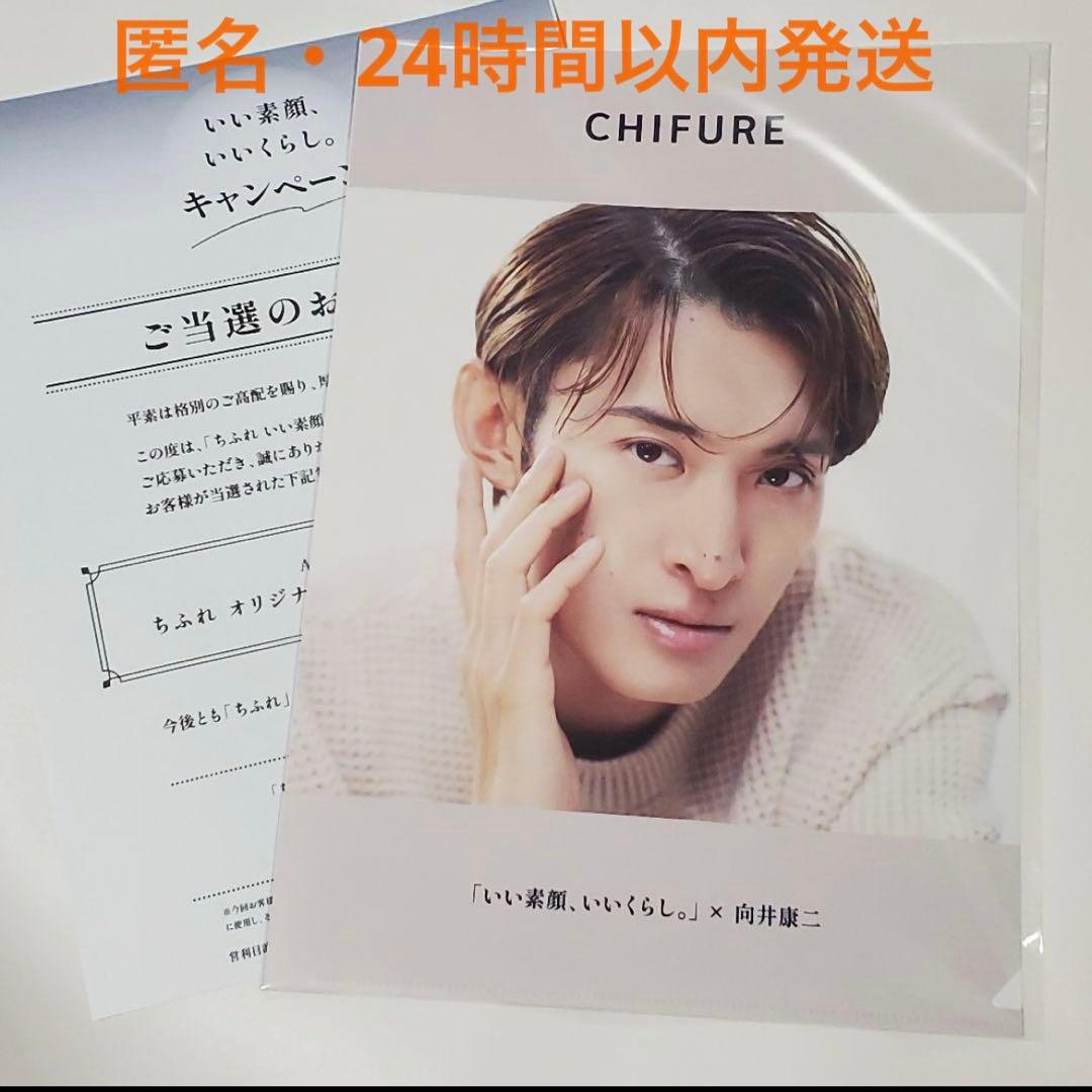 向井康二 クリアファイル 1枚 / ちふれ　当選品　非売品