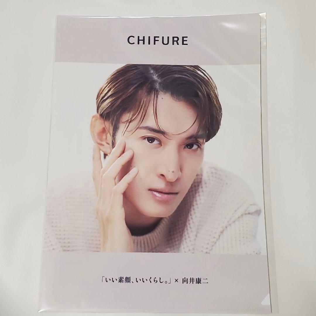 向井康二 クリアファイル 1枚 / ちふれ　当選品　非売品