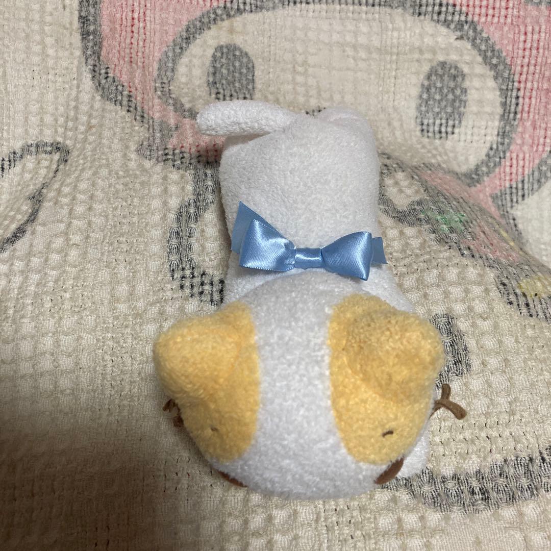 サンリオ　マシュマロみたいなふわふわにゃんこ　ぬいぐるみ　猫　2006 中古品