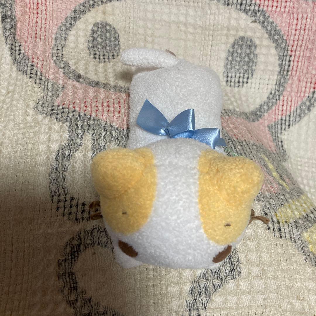 サンリオ　マシュマロみたいなふわふわにゃんこ　ぬいぐるみ　猫　2006 中古品