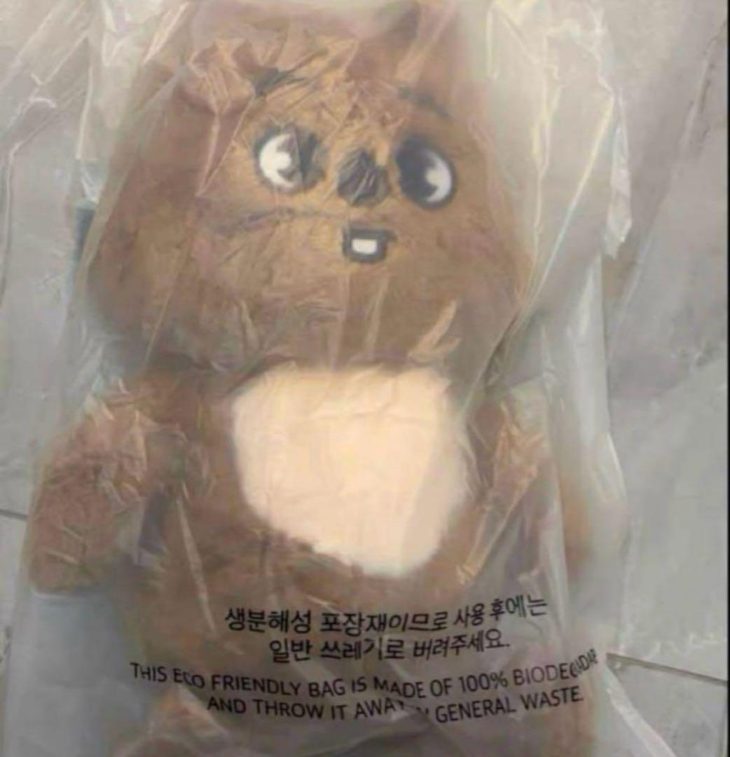 テディベア ぬいぐるみ teddybear SKZOO ハン　ハンクォ