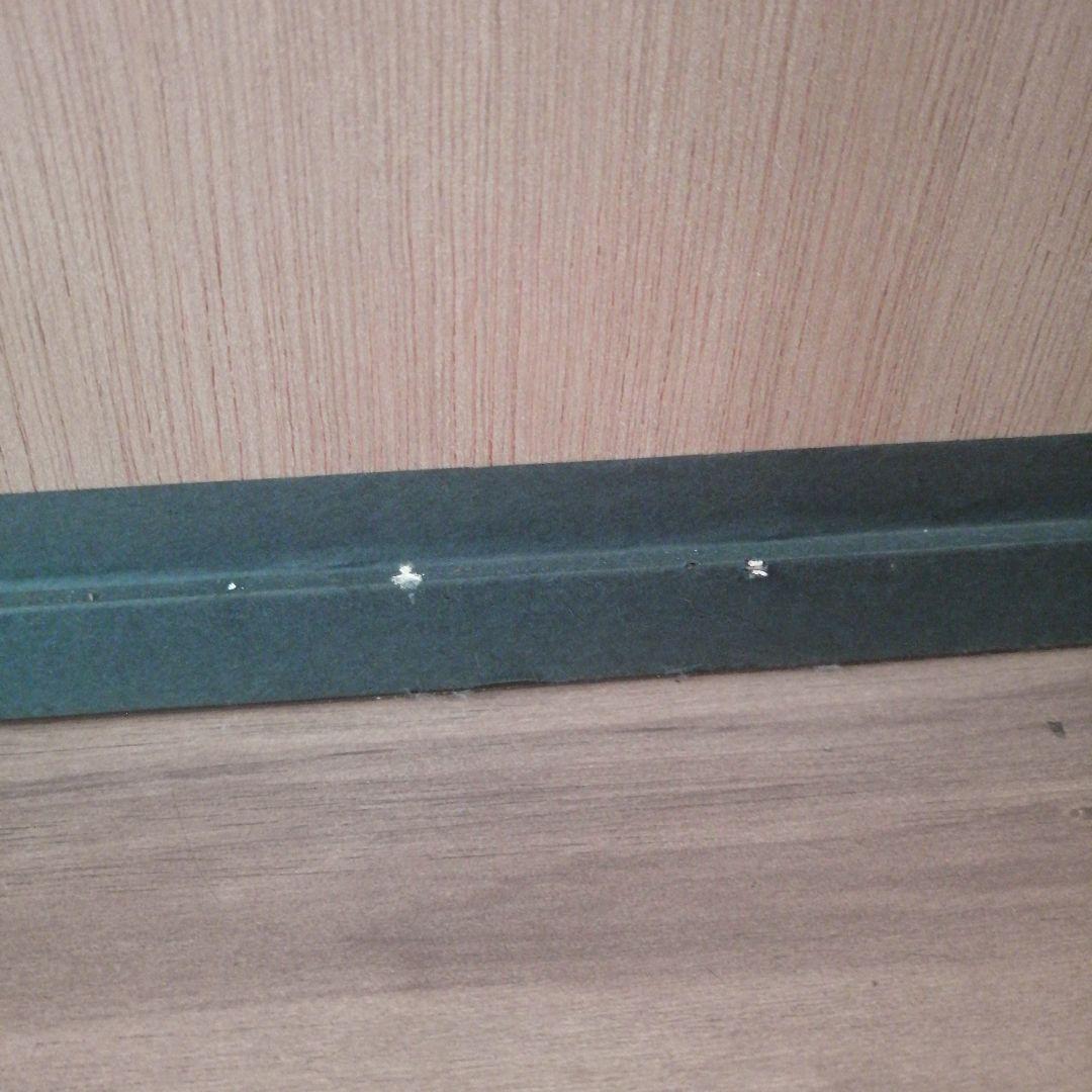 ベルナール・シャロワ　バイオリンを持つ少女　リトグラフ