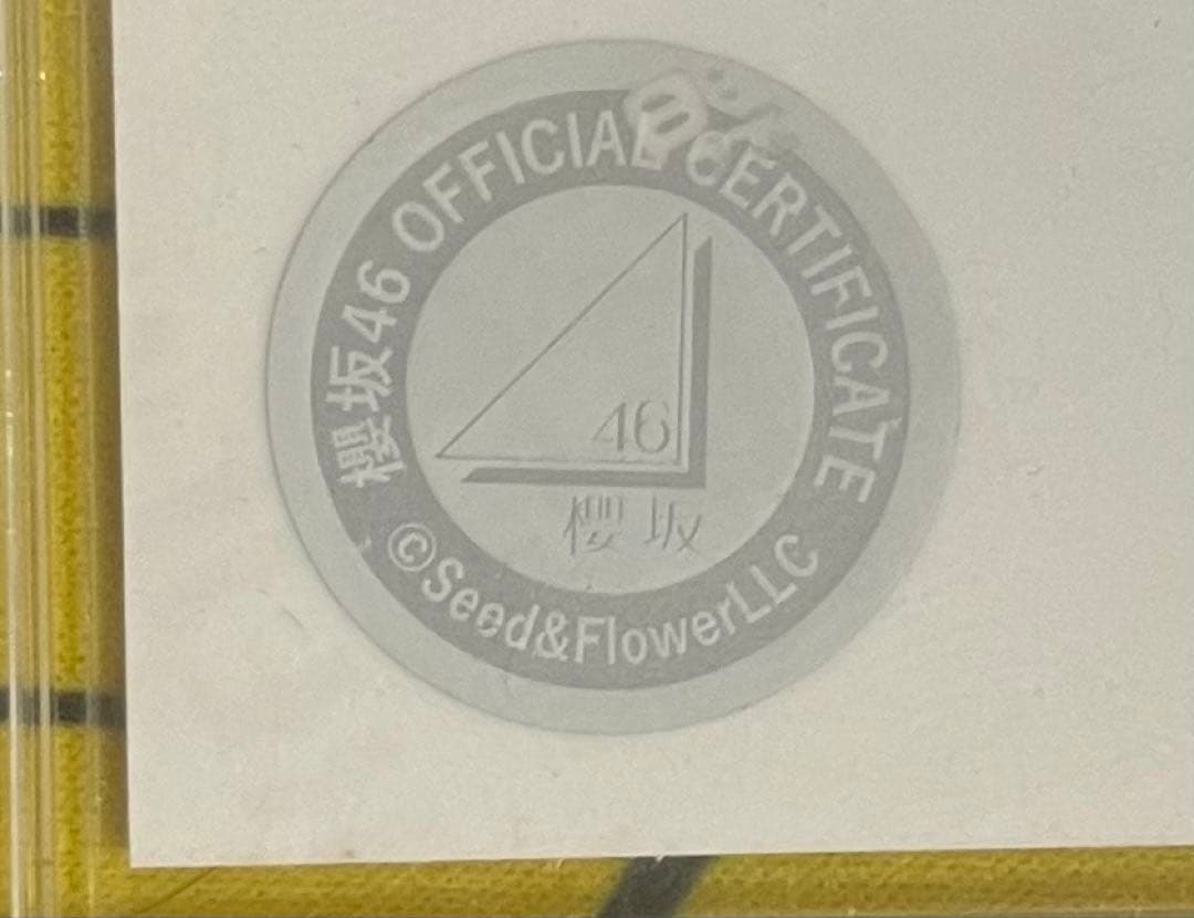 櫻坂46 遠藤理子　クリスマスサンタ衣装　直筆サイン