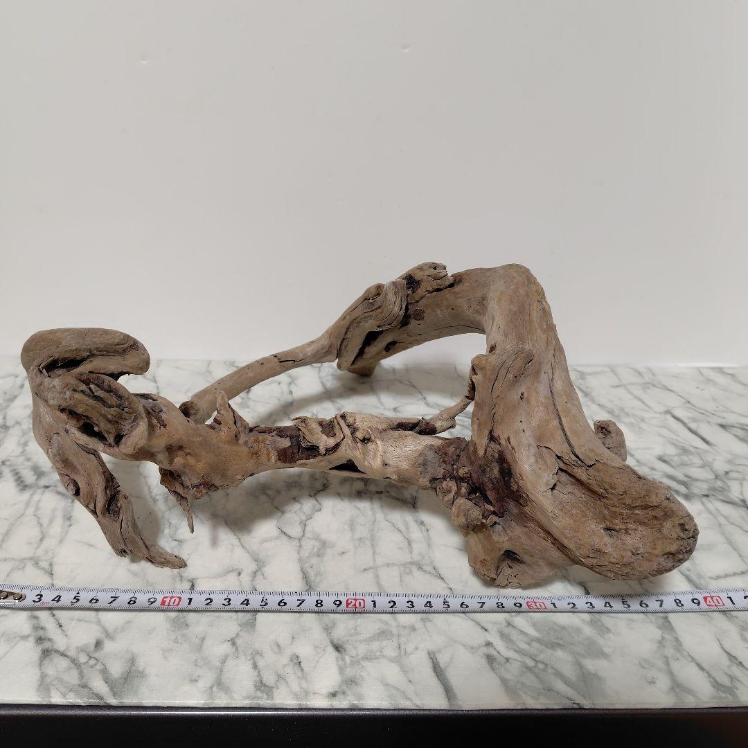 アク抜き済み流木【847】セール