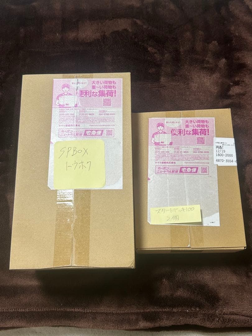 2月給料減る為　2月期間限定　ポケカ2025まとめ　5年価格放置　予想価格　特