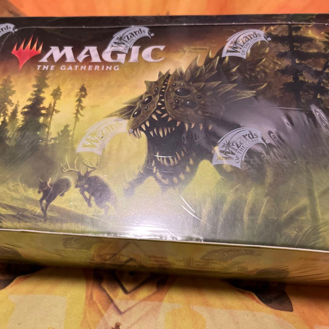 MTG 時のらせん リマスター ドラフトブースター 1BOX 日本語版