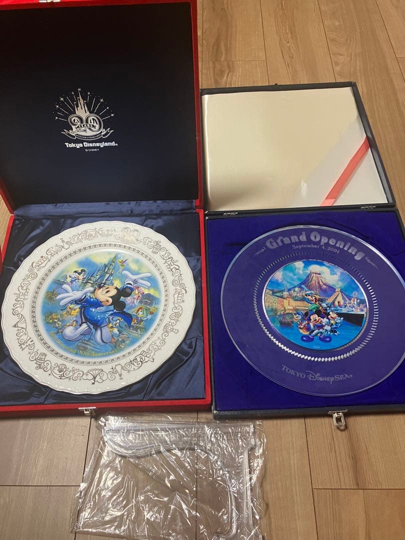 東京ディズニーシーグランドオープニング プレート皿　ランド20周年記念