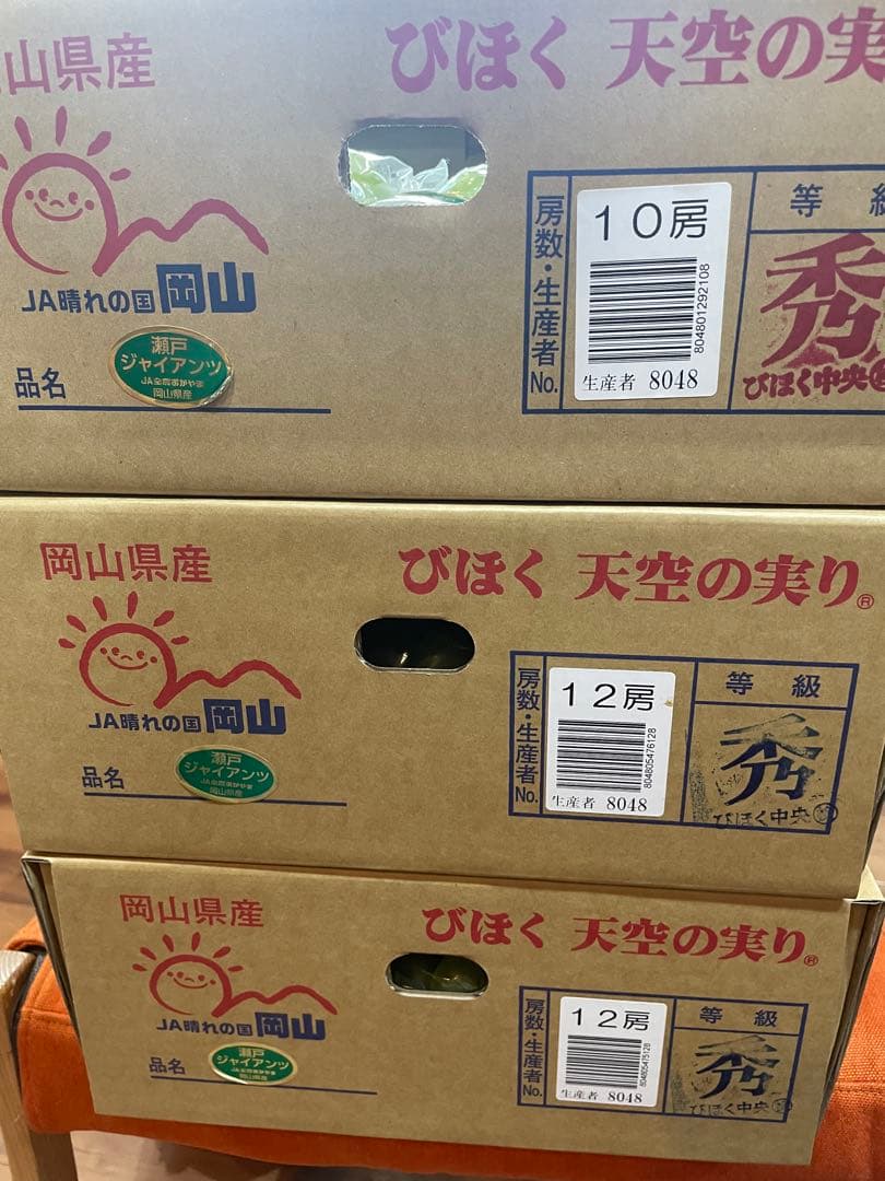 ⑦【岡山県産】瀬戸ジャイアンツ　7〜12房　約5キロ