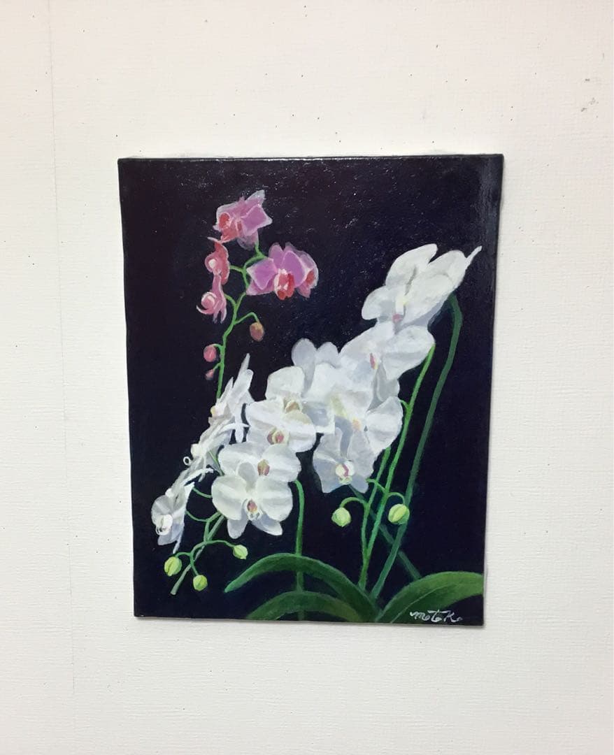 油彩画　「　胡蝶蘭　」F6号