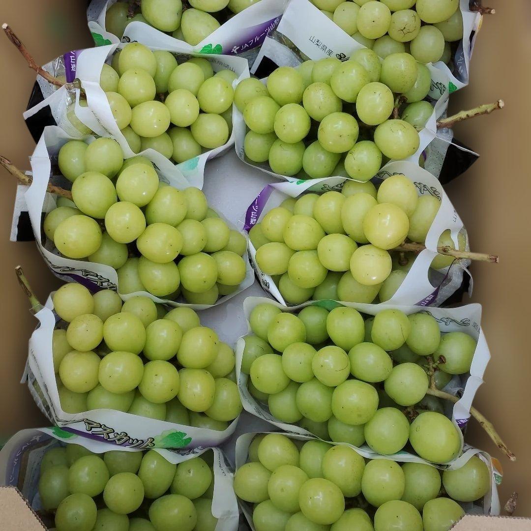 9️⃣ 山梨県産 シャインマスカット １０房入り 箱込み5.3キロ