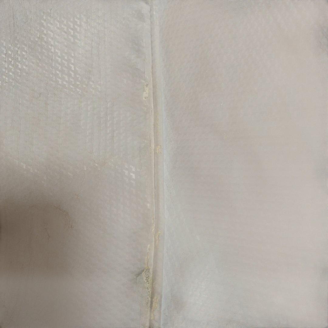 BRIDGESTONE ゴルフバッグ ホワイト/ブルー　int