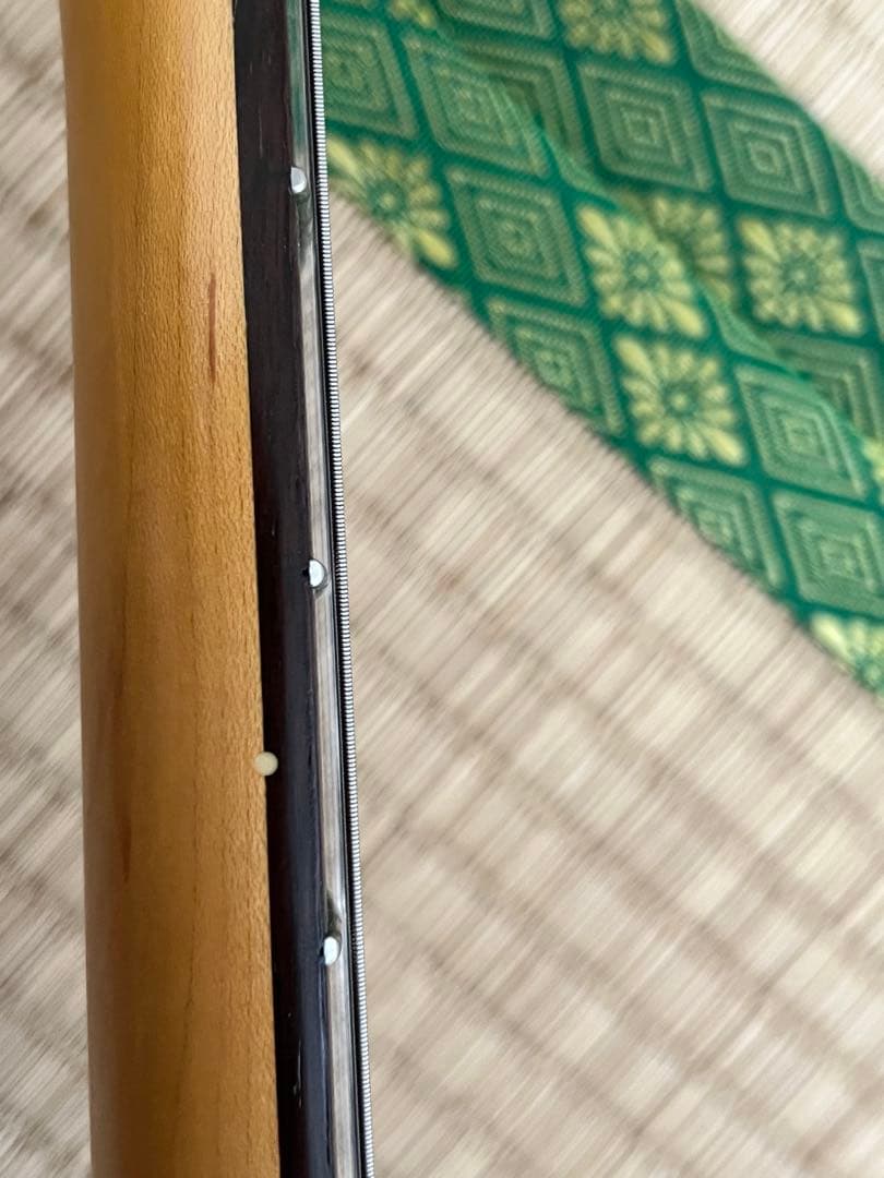 CoolZ テレキャスター ZTL-M2R RED