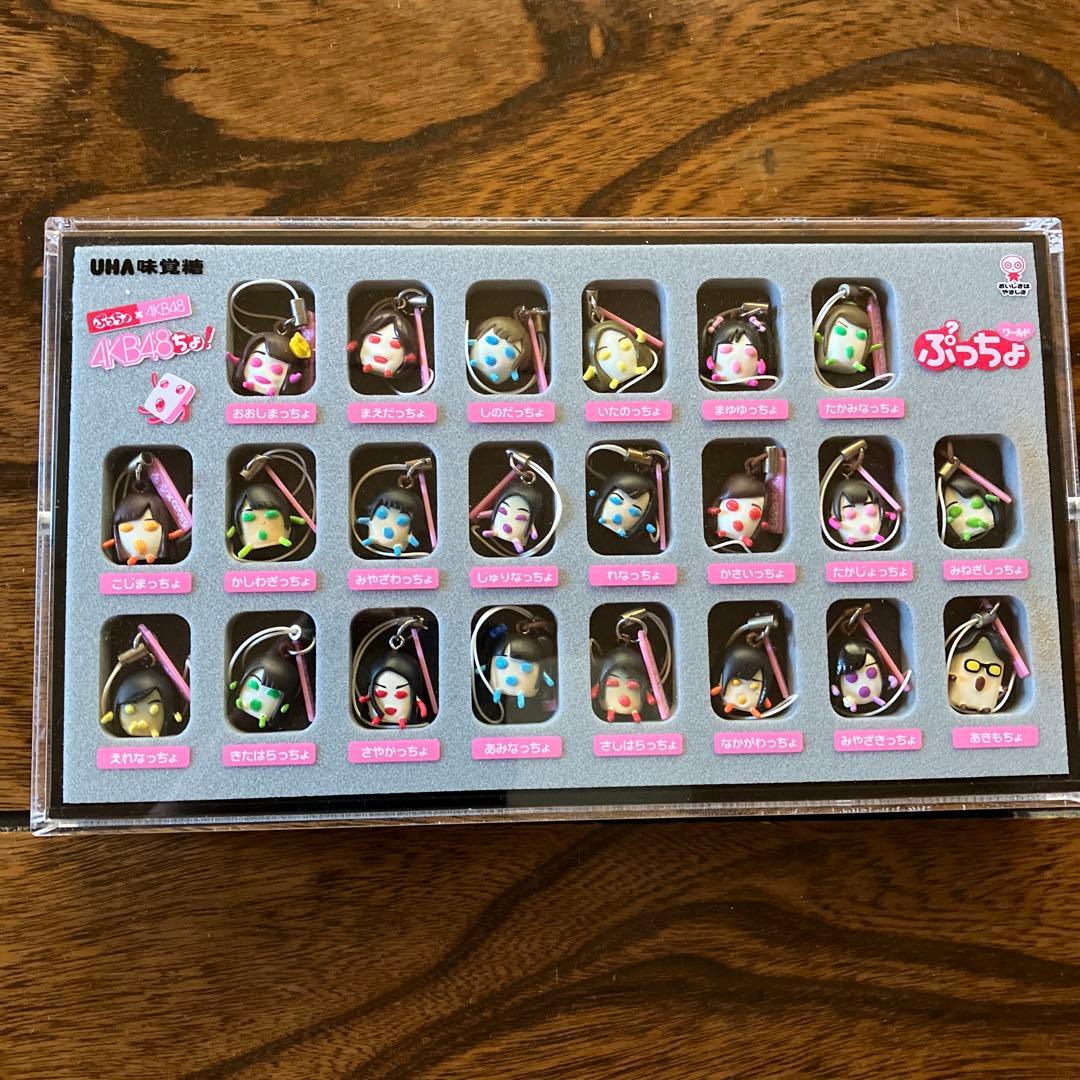 AKB48 ぷっちょキーホルダー全22種セット