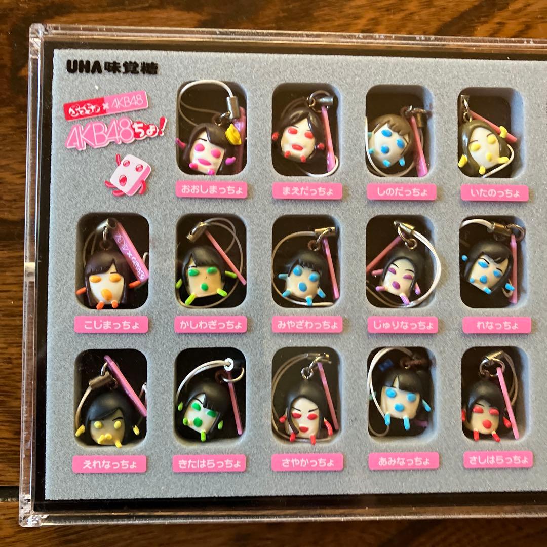 AKB48 ぷっちょキーホルダー全22種セット