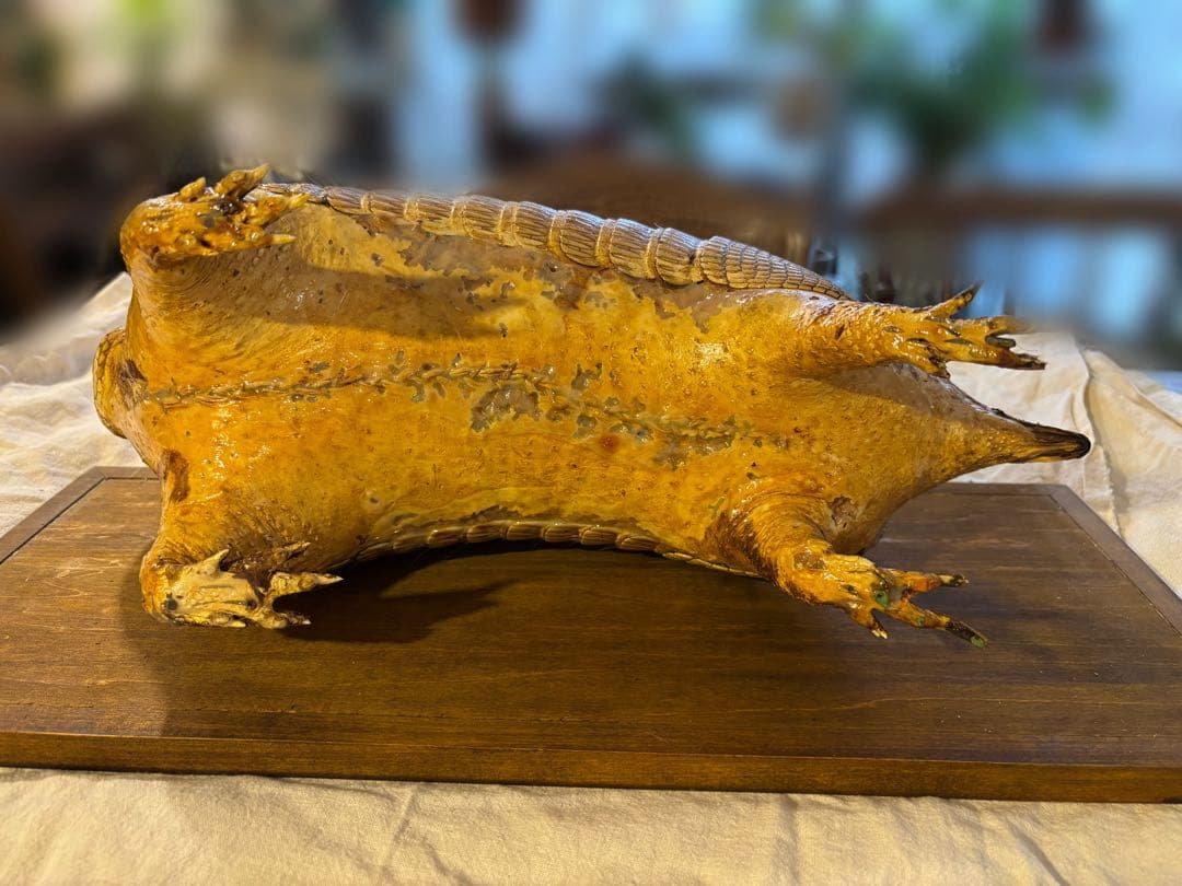 ココノオビアルマジロ/剥製/ワシントン条約 ・日本国内法（種の保存法）対象外