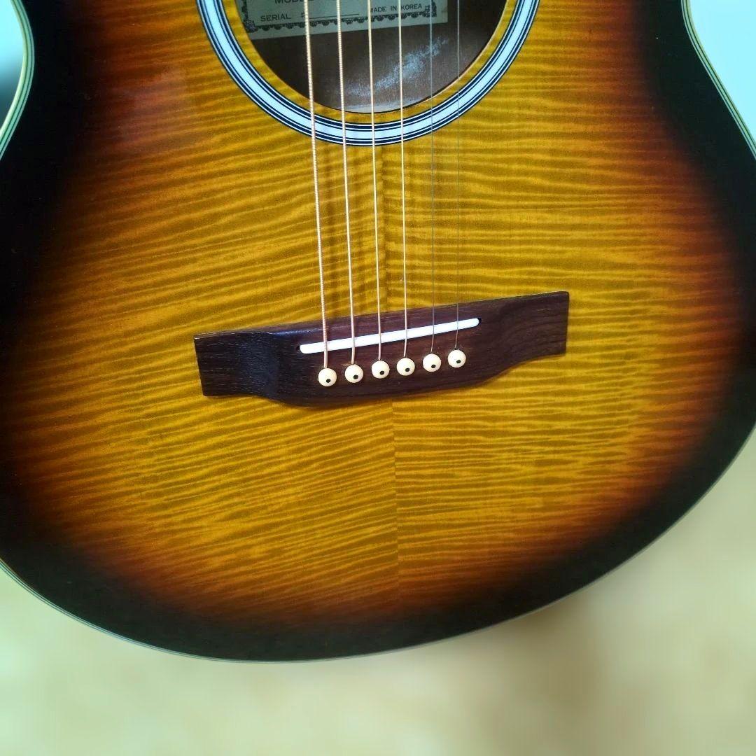 Pro Martin EA500W VS エレアコ