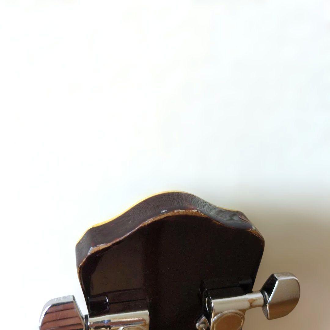 Pro Martin EA500W VS エレアコ