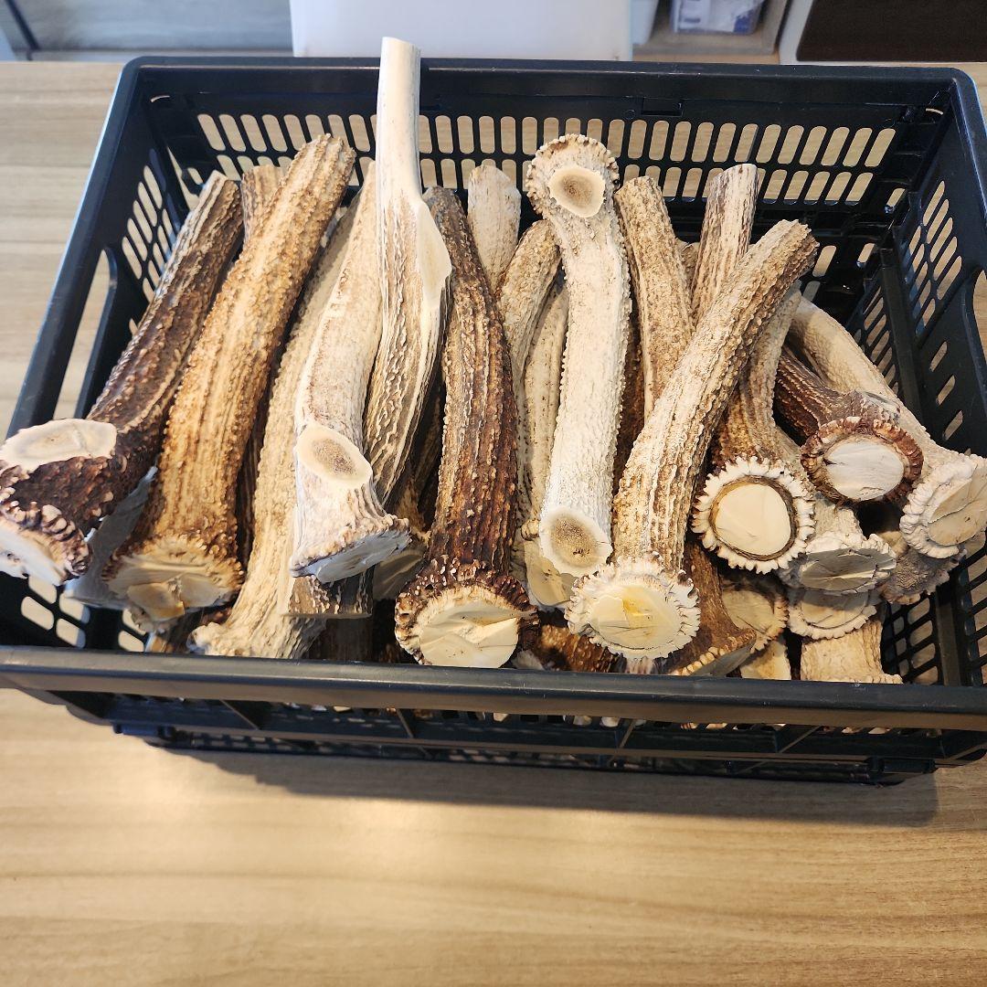 鹿の角 (特大～大サイズ)犬用おもちゃ ランダム　10kg