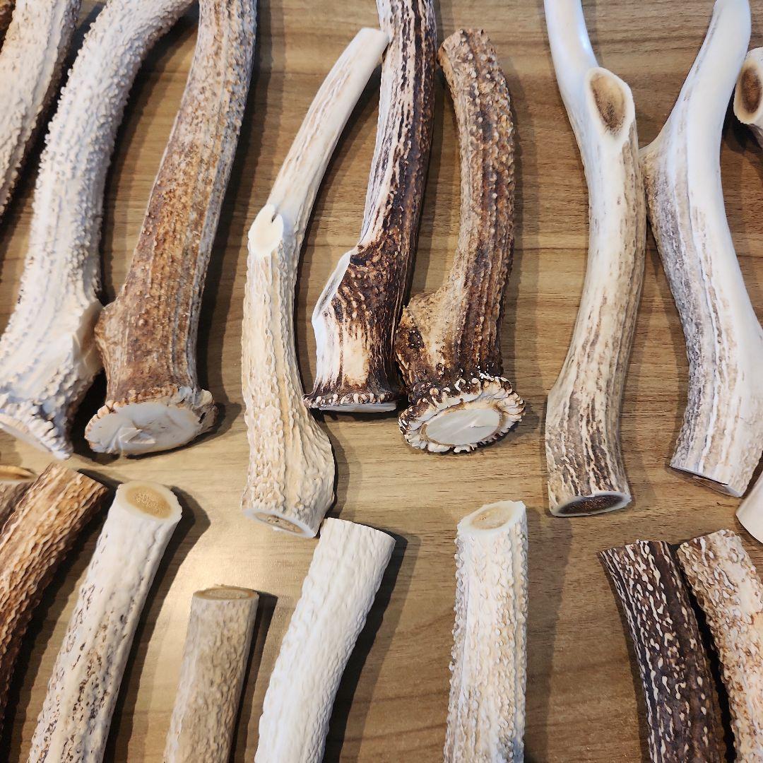 鹿の角 (特大～大サイズ)犬用おもちゃ ランダム　10kg