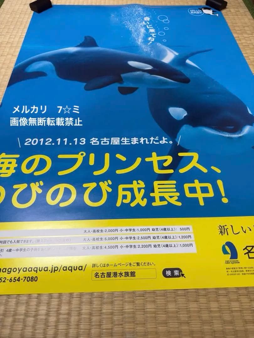 【レア・ラスト1点】名古屋港水族館　シャチ リンちゃん ステラ　ポスター