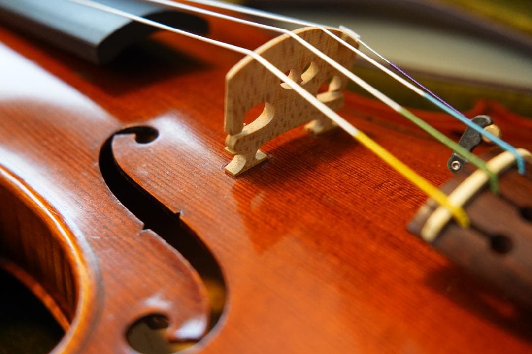 KT様　ローデリヒ　ペゾルト　バイオリン Paesold 806 4/4 ☆5