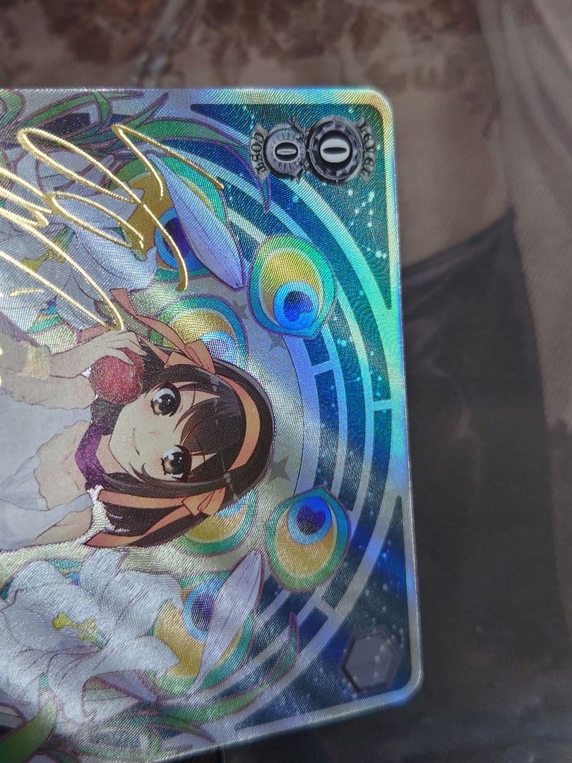 次なる未知への探究 ハルヒ SPサイン ヴァイスシュヴァルツ