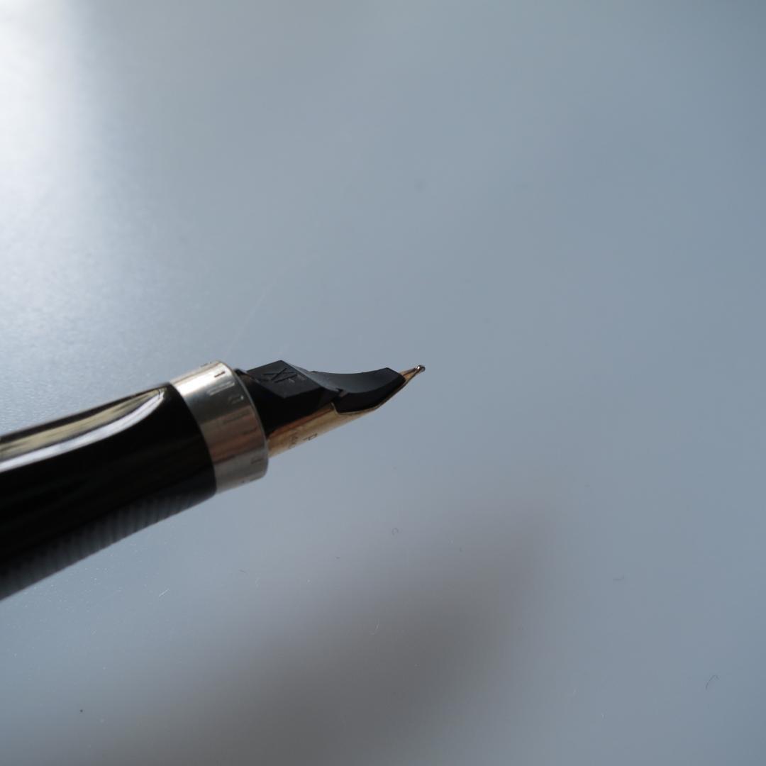 PARKER 20μ 万年筆 MADE IN FRANCE ゴールド×ドット