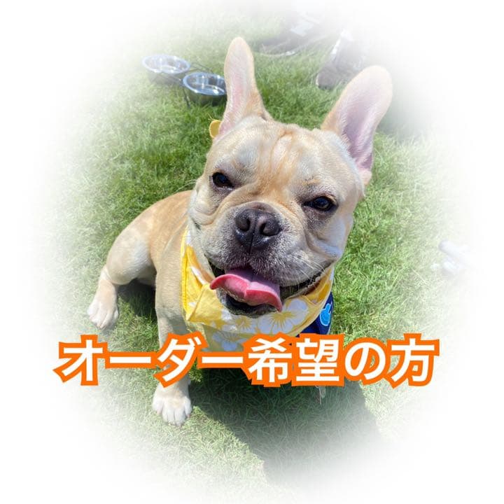 オーダー希望の方へ