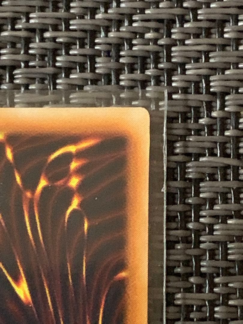 遊戯王　青眼の白龍　初期ウルトラレア　エラー　希少　最終価格