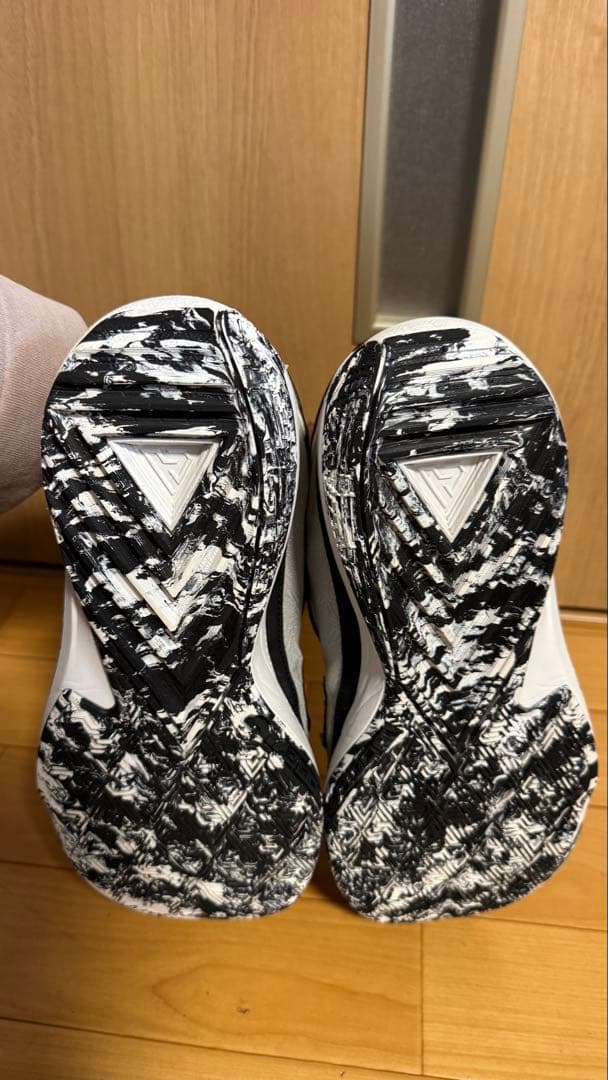 シューズ(男性用) NIKE ZOOM FREAK 5 EP DX4996-101