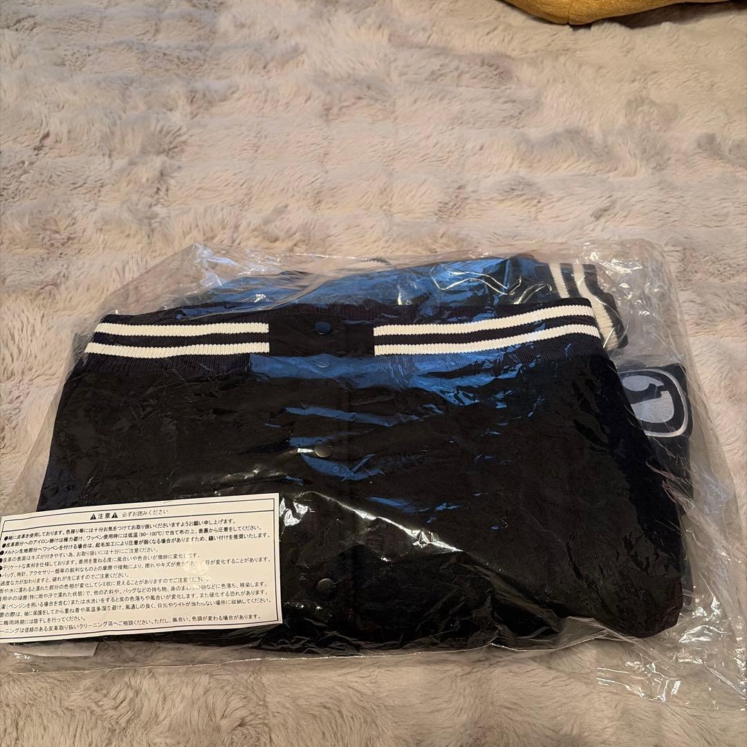 オードリー 東京ドーム オールナイトニッポン スタジャン