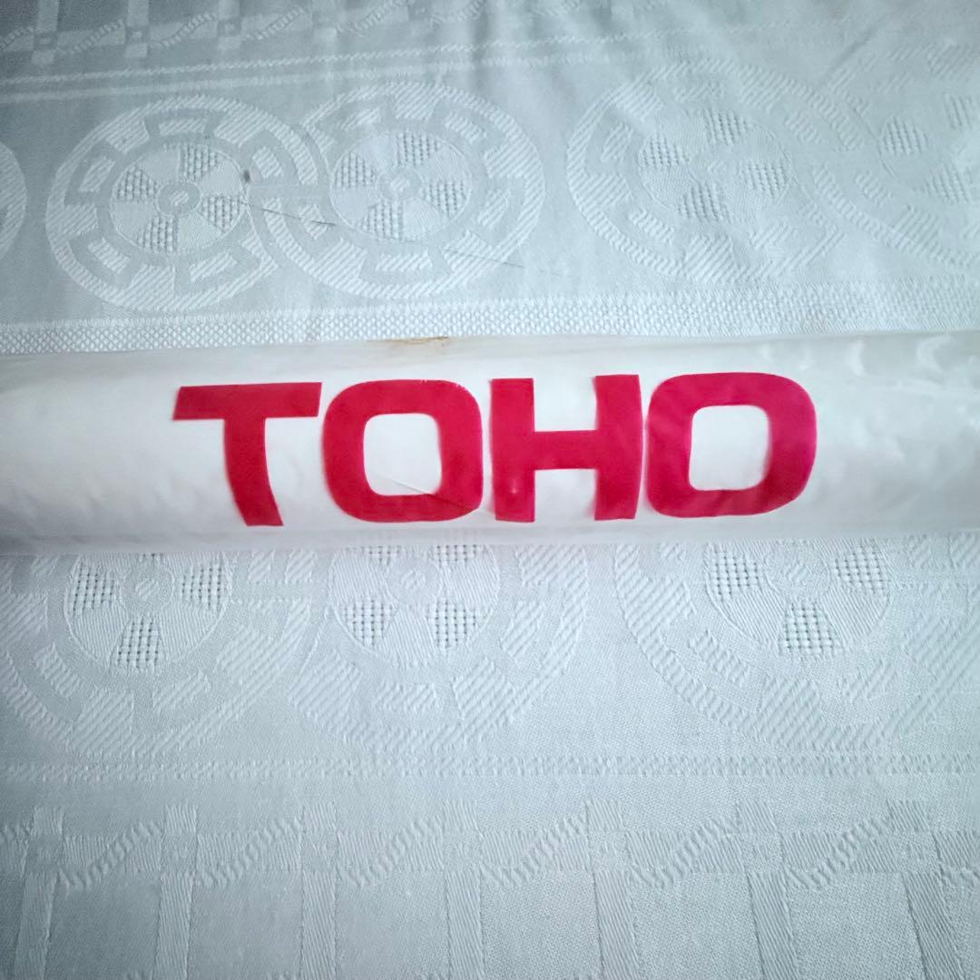 2245様感謝‼️GOZDILLAゴジラVSビオランテ'89TOHO映画ポスター