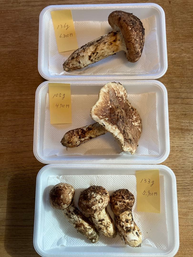 信州伊那の松茸