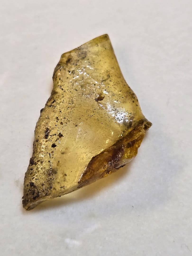 虫入りナチュラルコパル