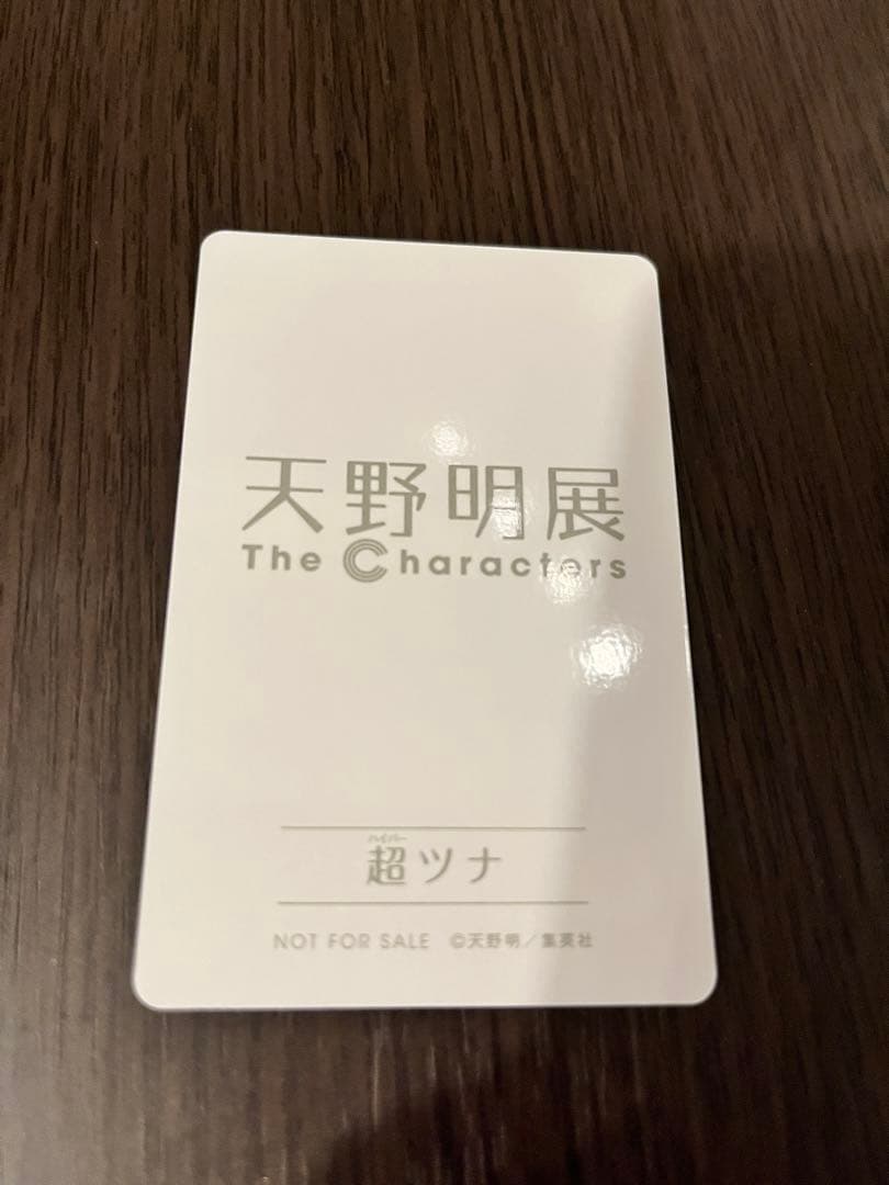 家庭教師ヒットマンREBORN! 沢田綱吉 購入特典カード