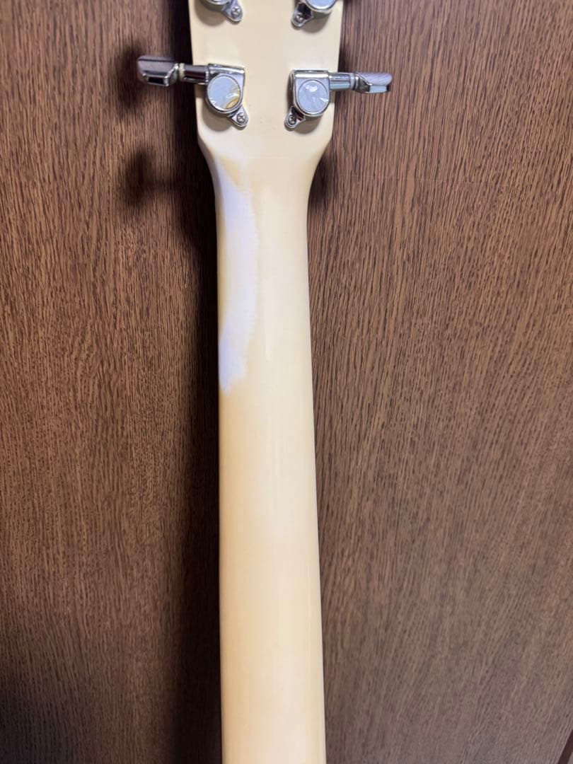 調整済‼️初心者の方必見‼️小振りサイズLegendのFG20WH‼️