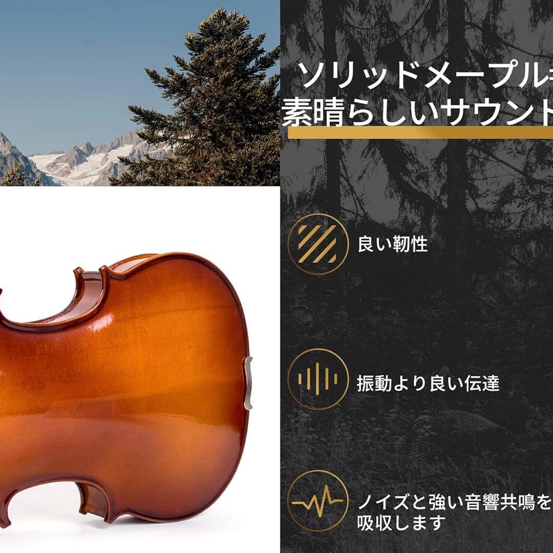 バイオリン 初心者入門セット エクストラストリング