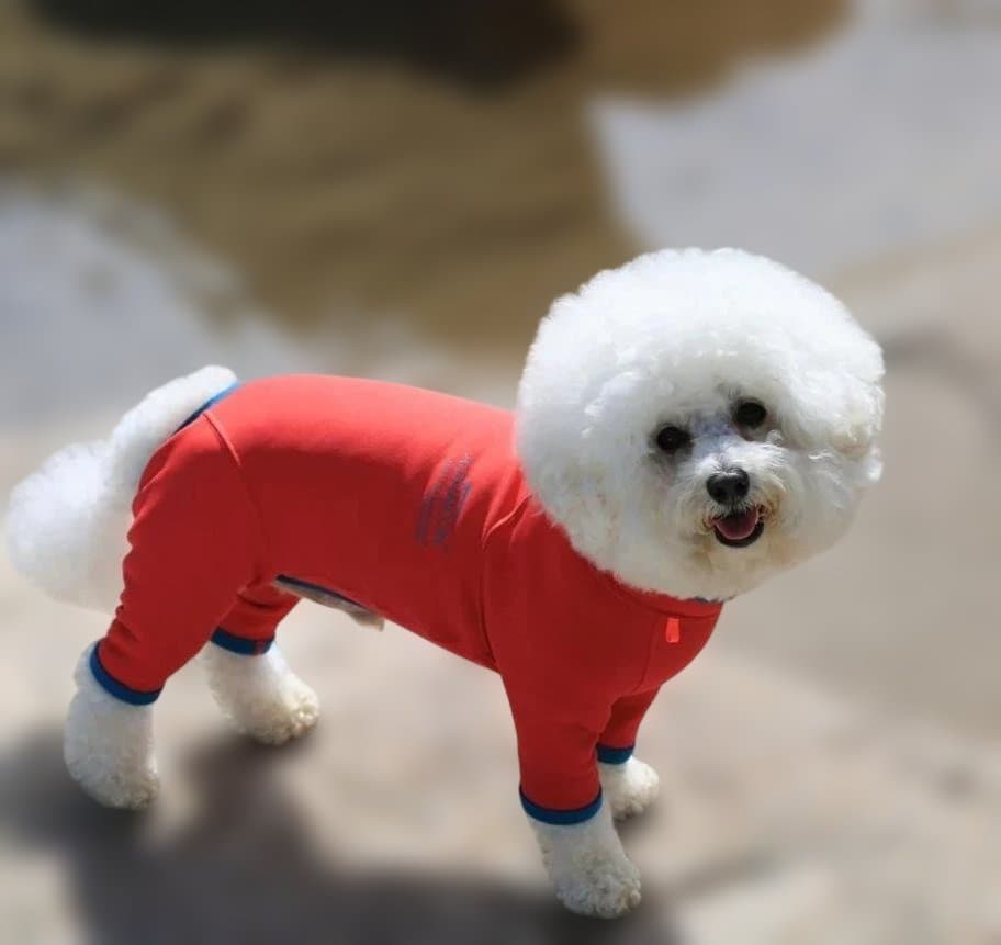 新品　アルファアイコン　ホットドッグガード　MLサイズ　ストロベリーフォレスト