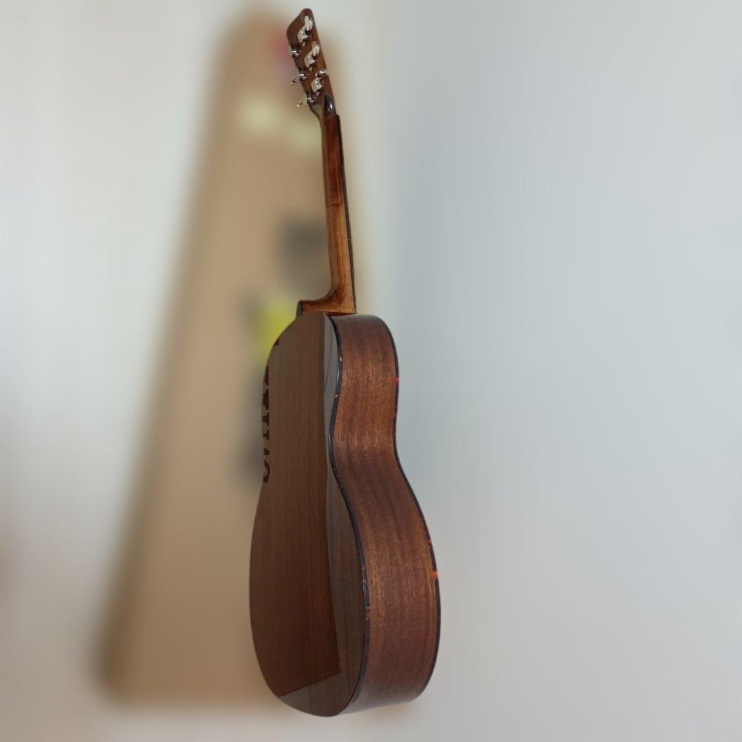 Recording King ROS-G6 アコースティックギター