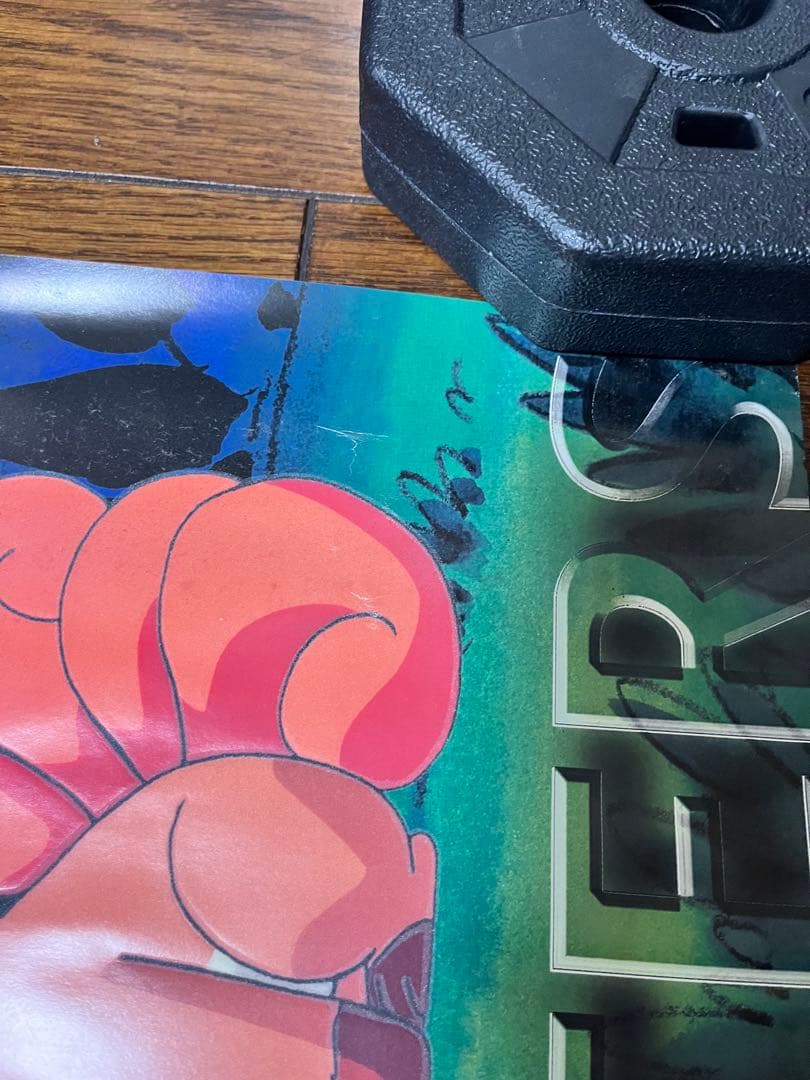 ポケットモンスター　バンプレ　ポスター　ポケモン　4枚セット