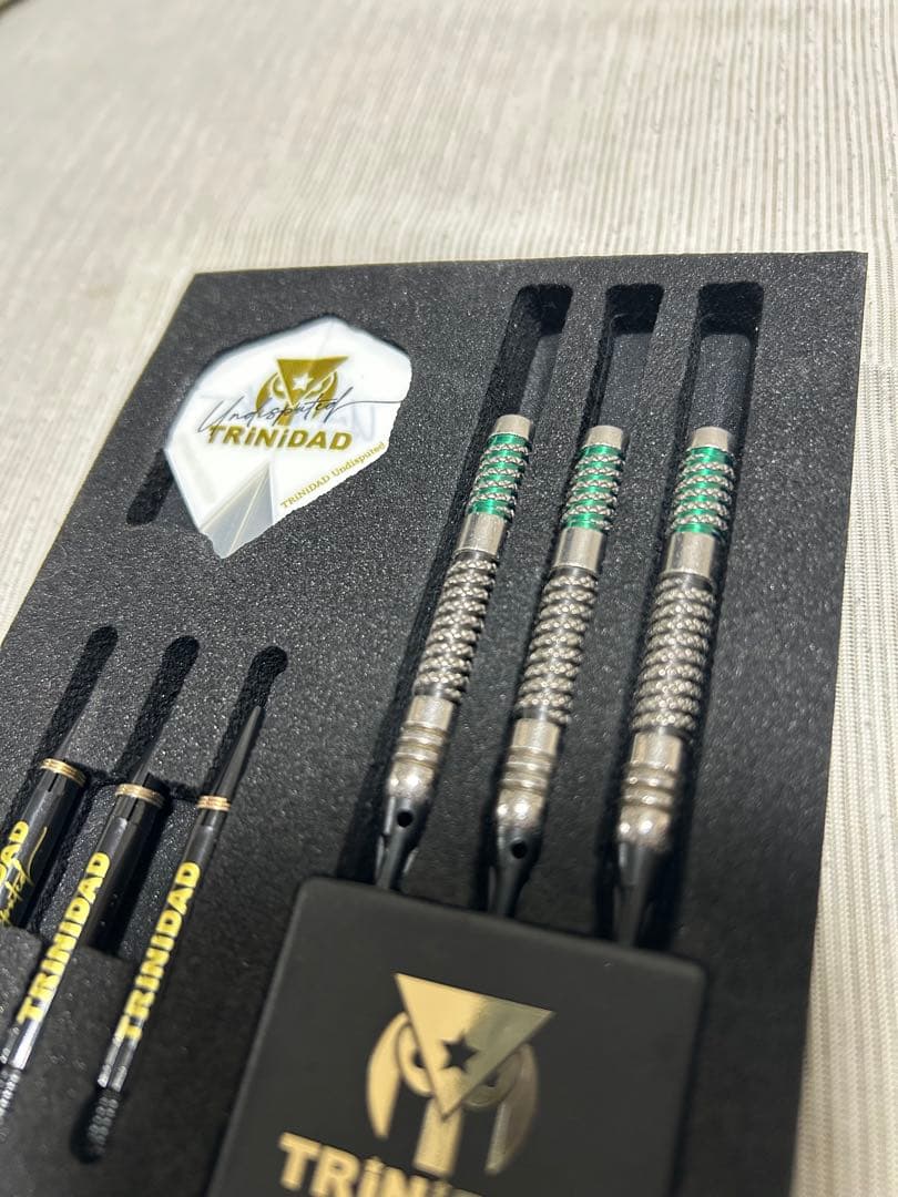 リカルド タイプ2 浅田斉吾モデル