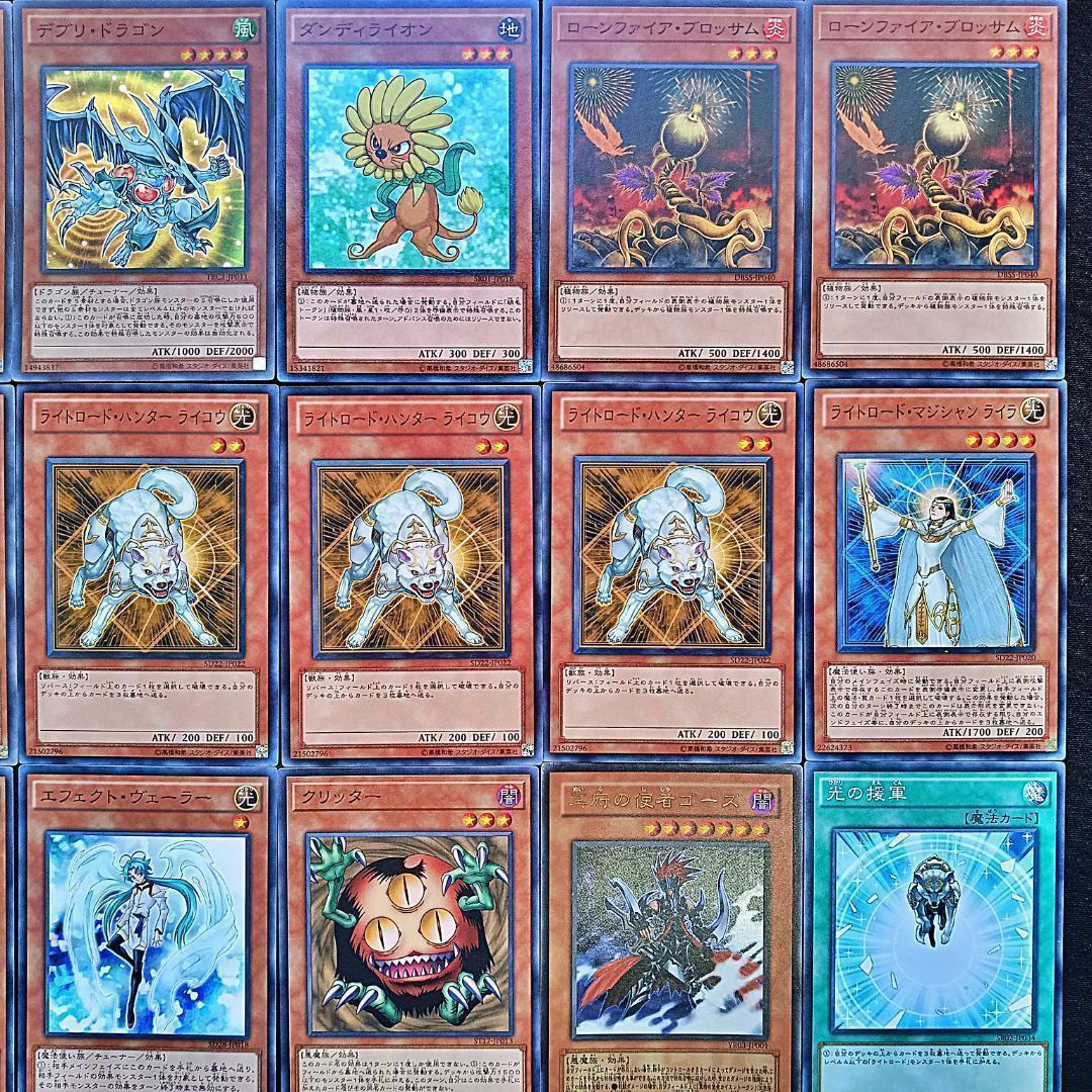 No.894 1103環境 ジャンド　デブリダンディ デッキ ゲートボール