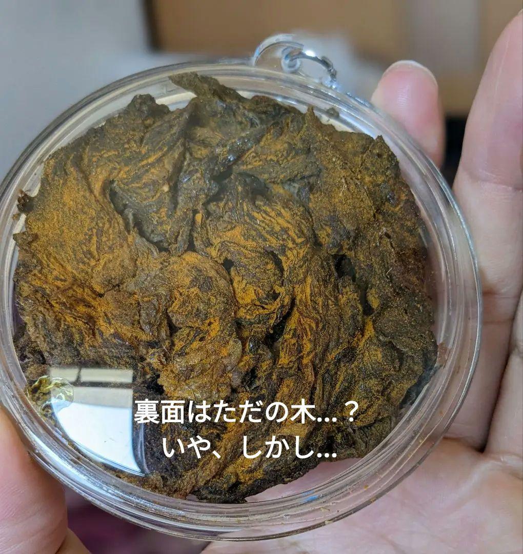 【マジモノ…】動物の〇ちゃんを素材としたプラクルアン？呪物？すごい金運＆幸運…