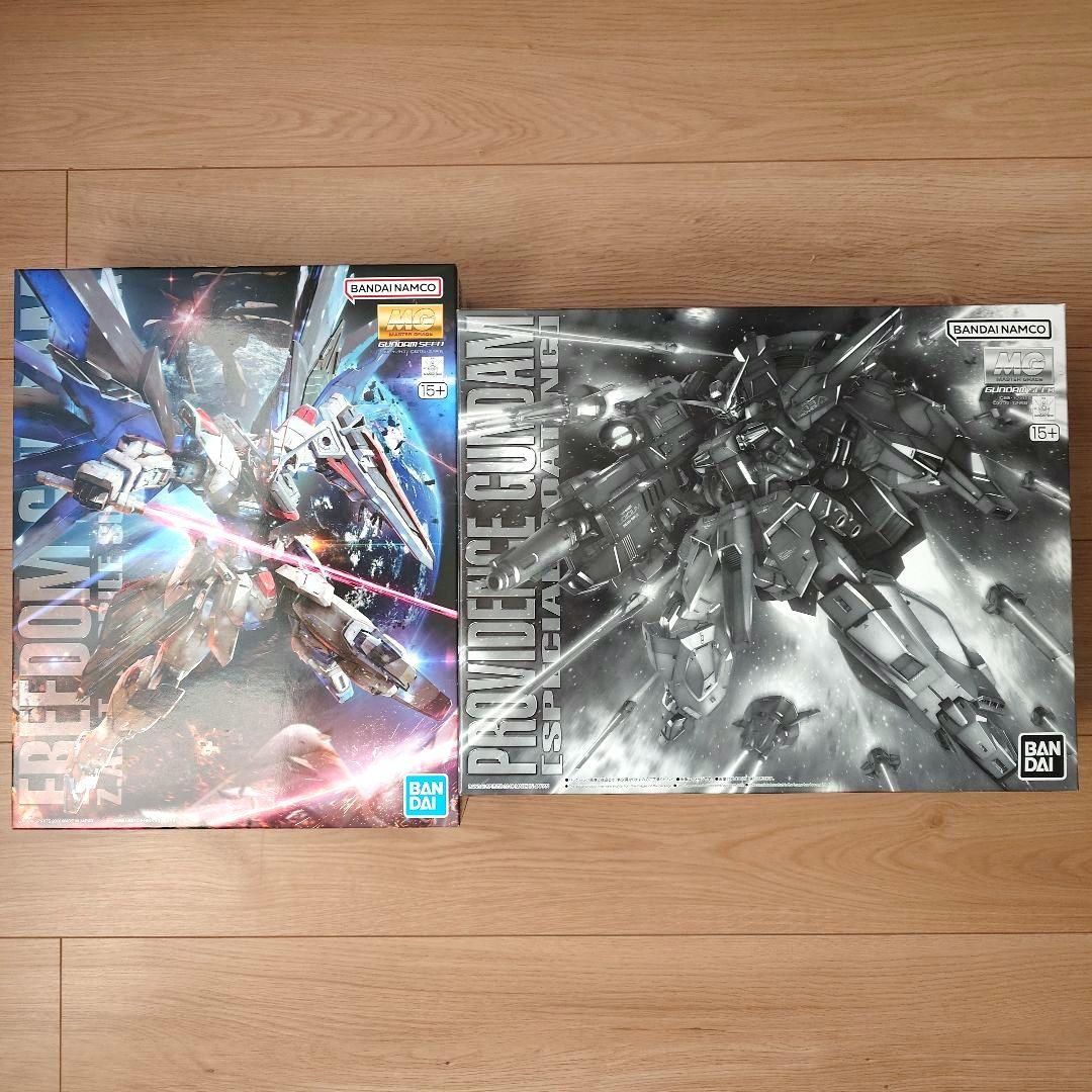 MG フリーダムガンダム＆プロヴィデンスガンダム [スペシャルコーティング]