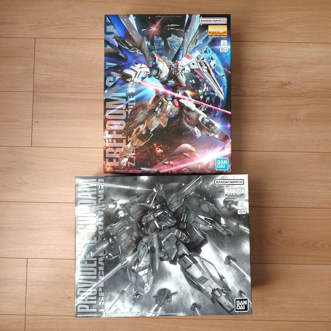 MG フリーダムガンダム＆プロヴィデンスガンダム [スペシャルコーティング]