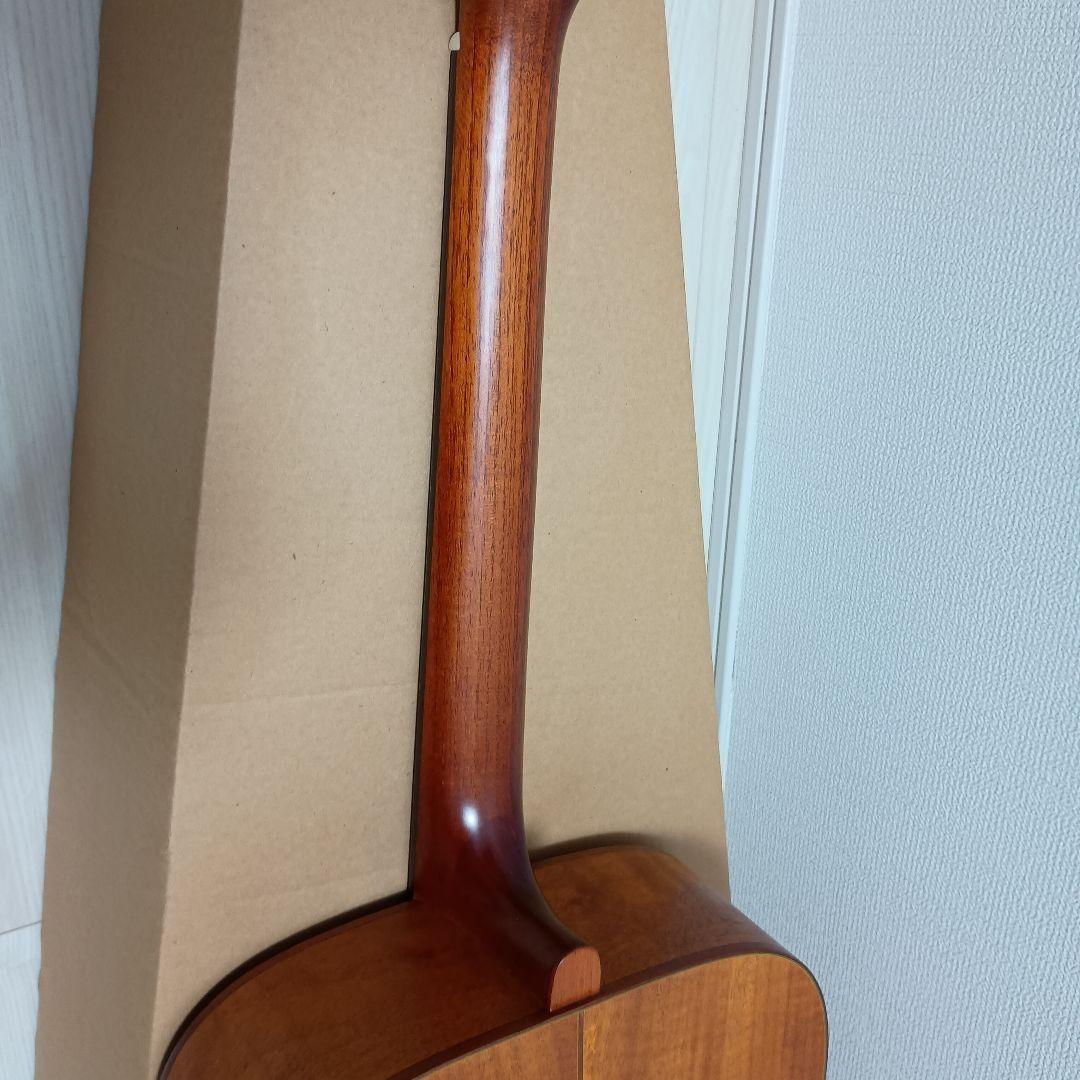 SX DG-LTD2 アコースティックギター