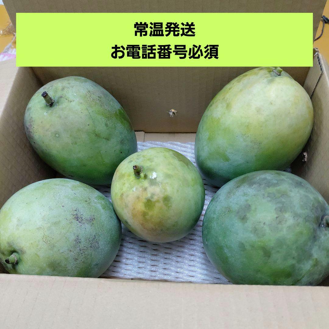 追熟型A　キーツマンゴー５玉