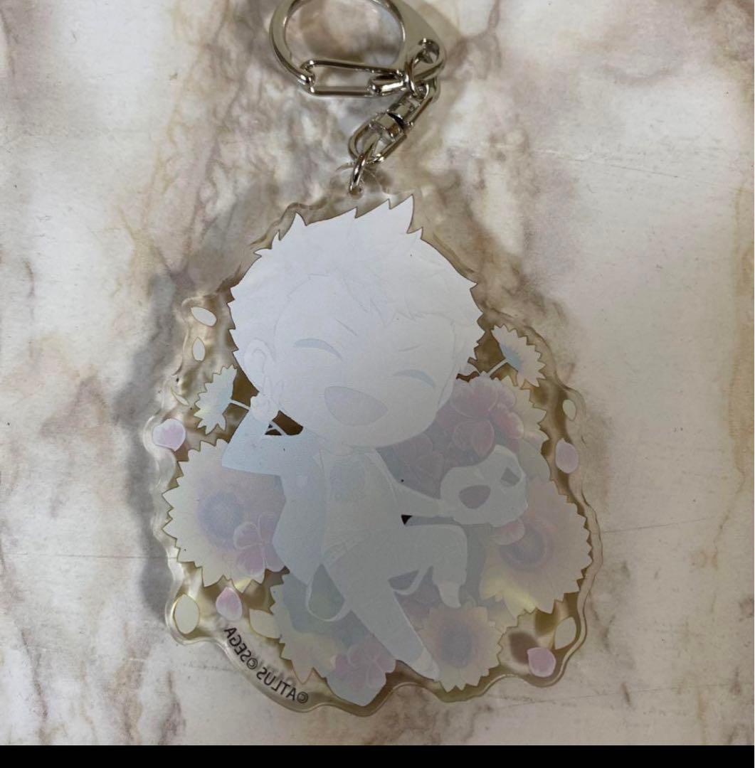 ペルソナ5 ザ・ロイヤル きゃらふろる アクリルキーホルダー 全9種セット